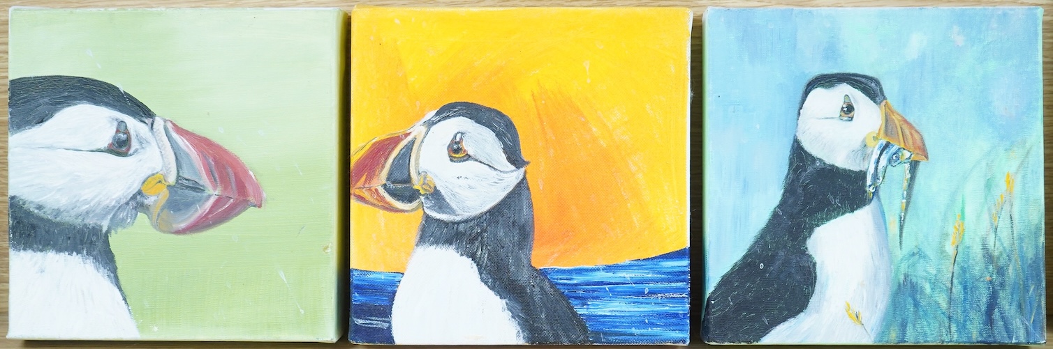 Siobhan O'Malley (Irish, contemporary), Studies of puffins, a set of three oils on canvas, each signed and dated 2010 verso, 20 x 20cm unframed